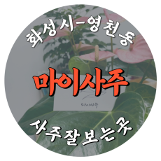 [영천동-마이사주]