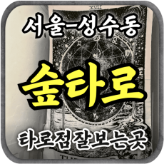 [성수동타로-숲타로]