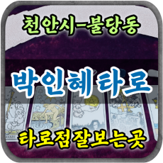 [불당동타로-박인혜타로]