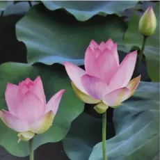 창원 점집-강씨신당